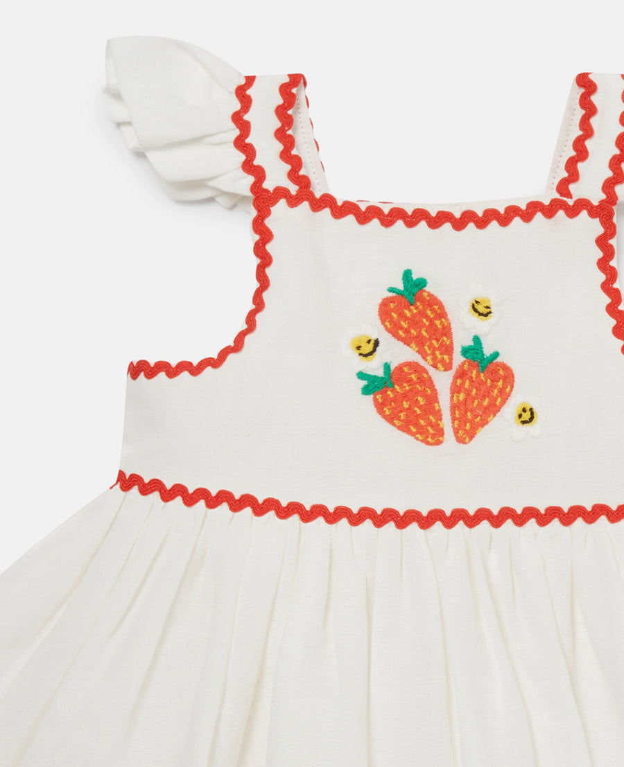 Strawberry Embroidered Baby Dress