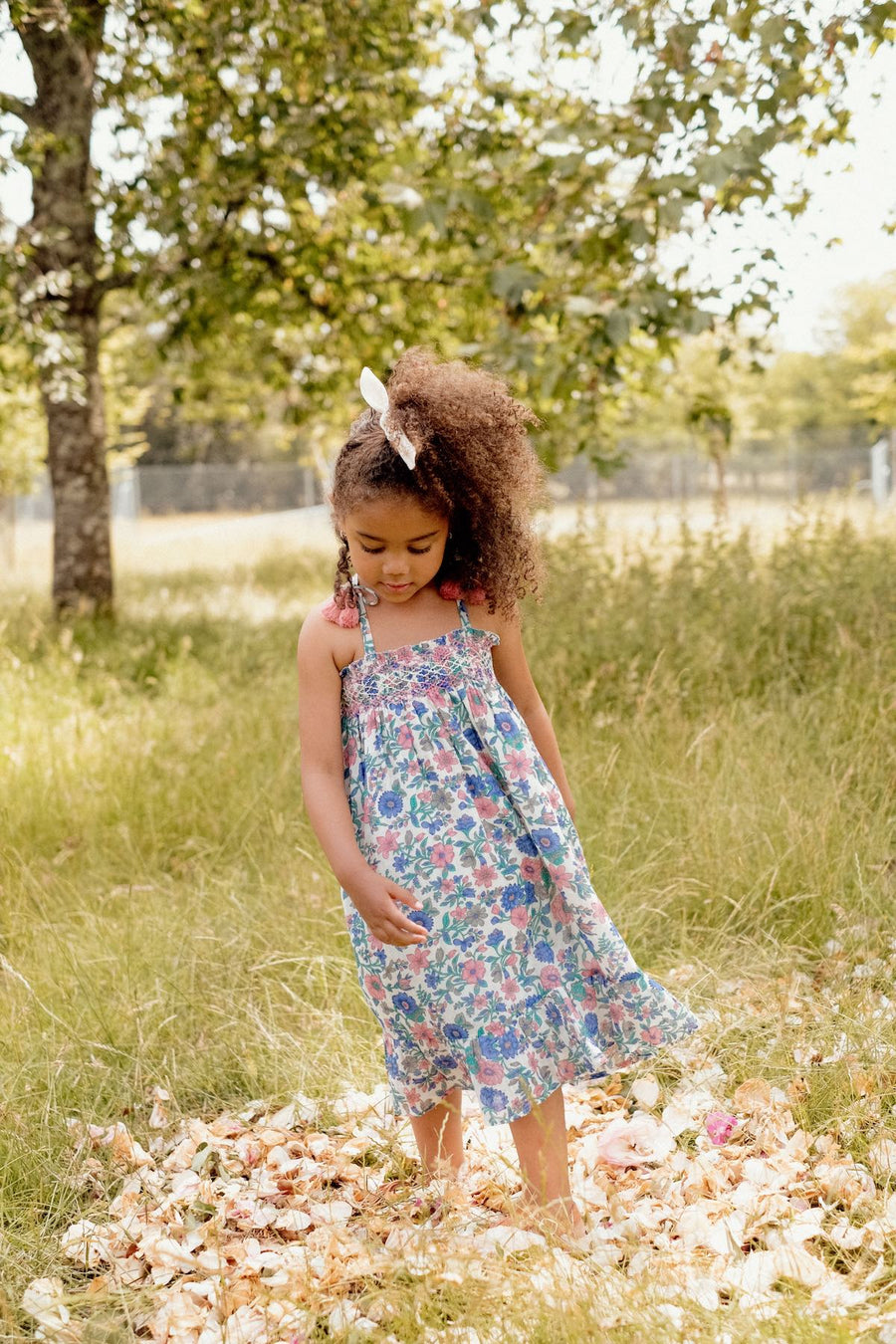 Marceline Blue Summer Meadow Dress
