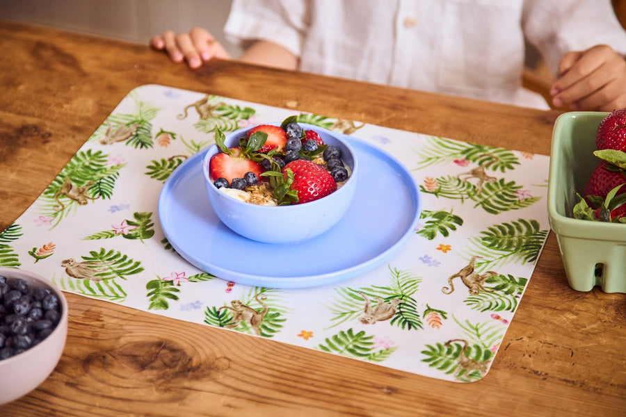 4 Plate Blue Set