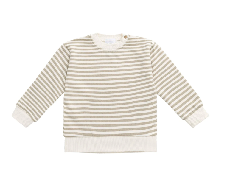 Peyton Sandy Brown Striped Sweatshirt