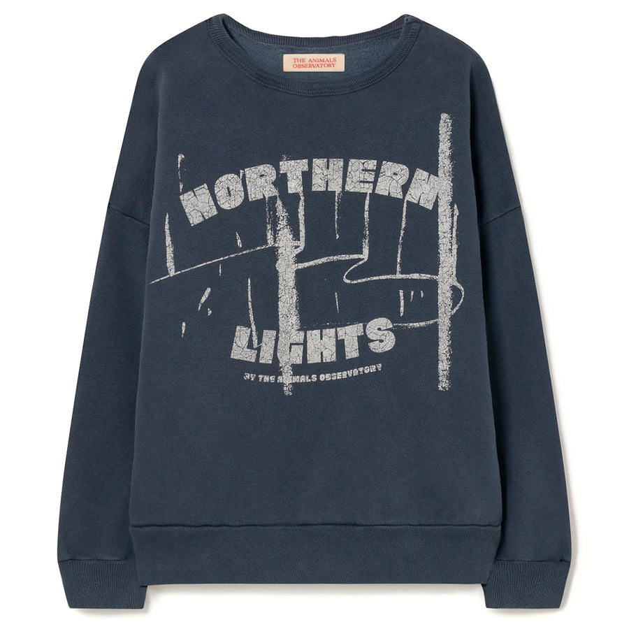 Northern Lights Big Bear Sweatshirt